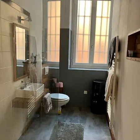 Le Marronnier Apartment Montauban