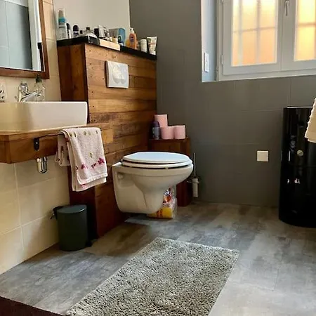 Le Marronnier Apartment Montauban